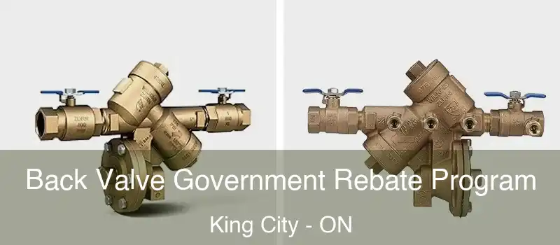  Back Valve Government Rebate Program King City - ON