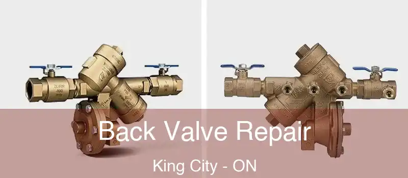  Back Valve Repair King City - ON