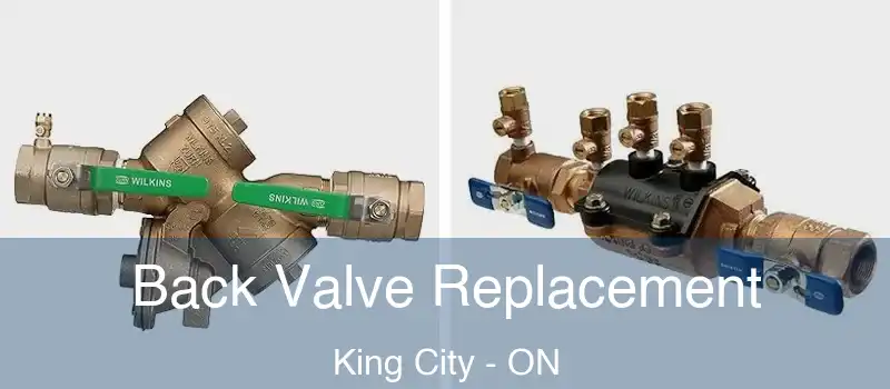  Back Valve Replacement King City - ON