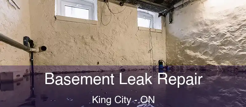  Basement Leak Repair King City - ON