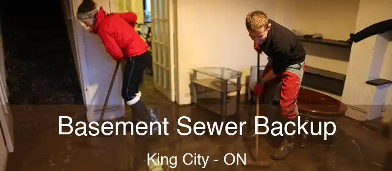  Basement Sewer Backup King City - ON