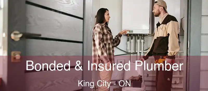  Bonded & Insured Plumber King City - ON