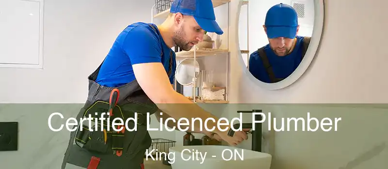  Certified Licenced Plumber King City - ON