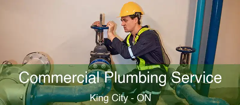  Commercial Plumbing Service King City - ON