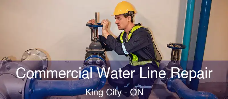  Commercial Water Line Repair King City - ON