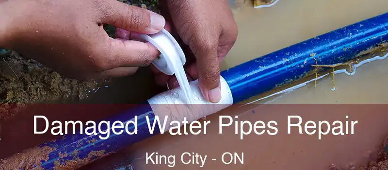  Damaged Water Pipes Repair King City - ON