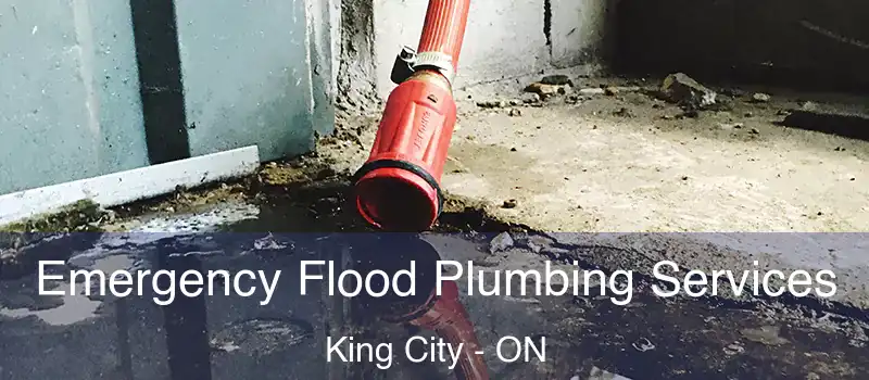  Emergency Flood Plumbing Services King City - ON