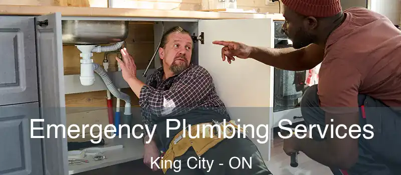  Emergency Plumbing Services King City - ON