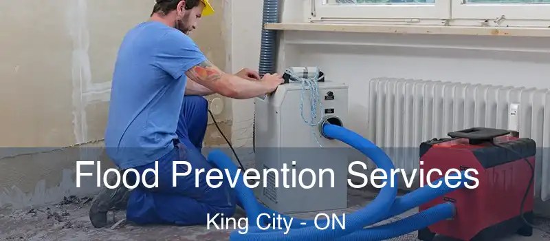  Flood Prevention Services King City - ON