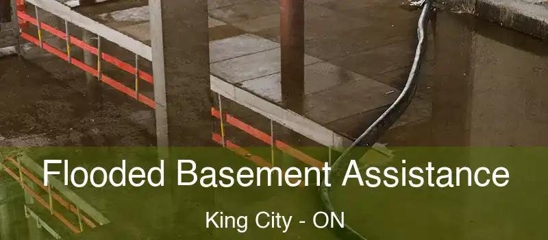  Flooded Basement Assistance King City - ON