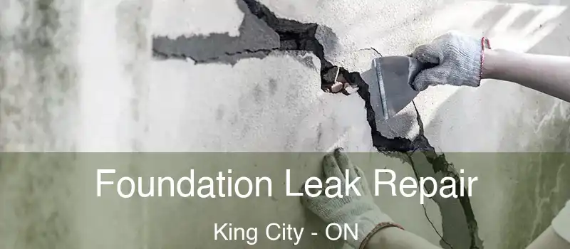 Foundation Leak Repair King City - ON