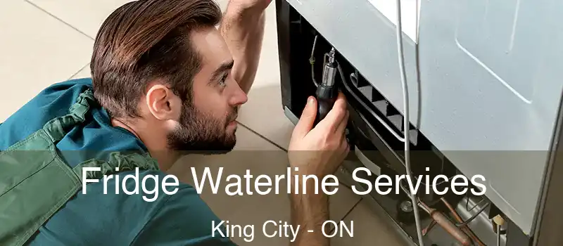  Fridge Waterline Services King City - ON