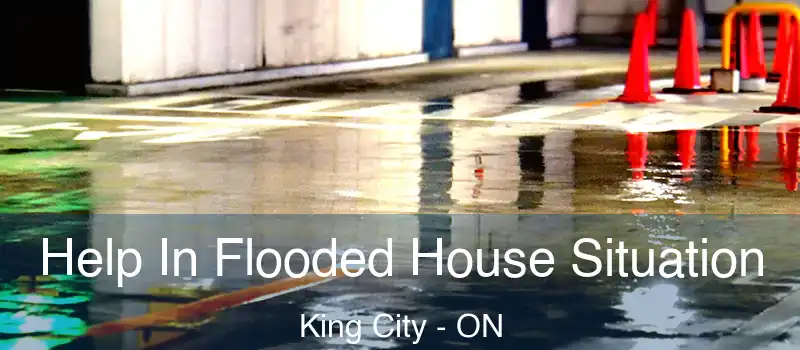  Help In Flooded House Situation King City - ON
