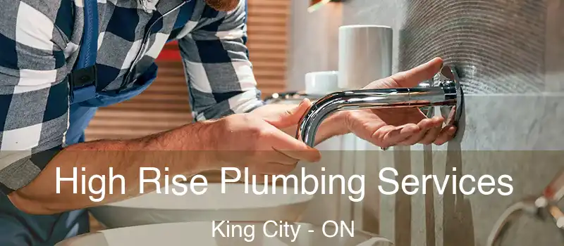  High Rise Plumbing Services King City - ON