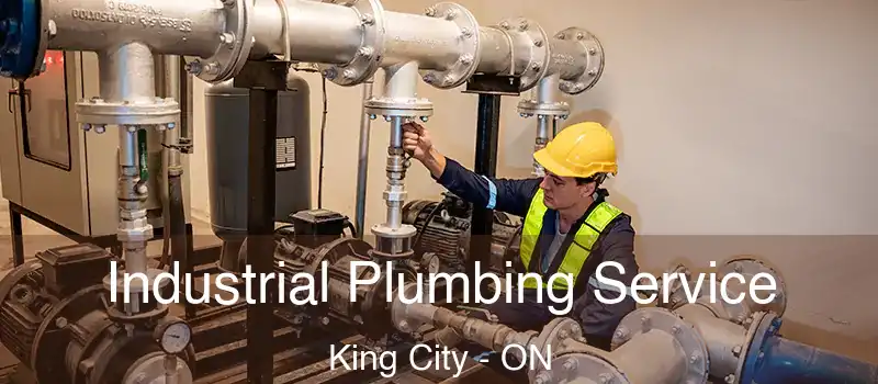  Industrial Plumbing Service King City - ON
