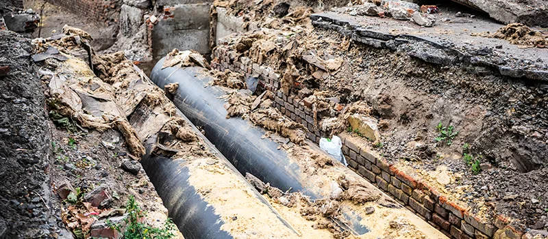 Commercial Sewer Tree Roots Damage Solutions in King City, ON