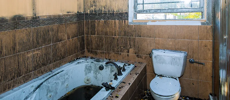 Residential Water Damage Restoration in King City, ON
