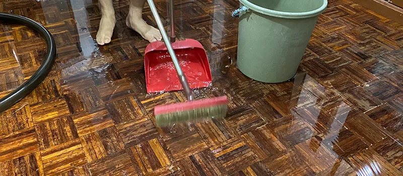 Water Removal And Restoration Services in King City, ON