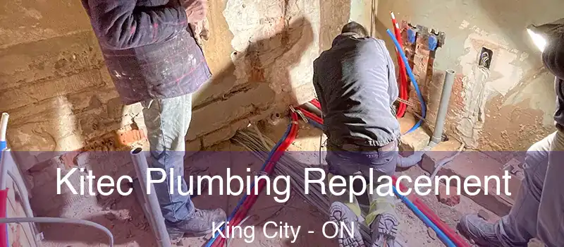  Kitec Plumbing Replacement King City - ON