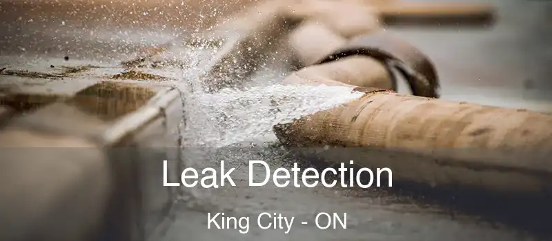  Leak Detection King City - ON
