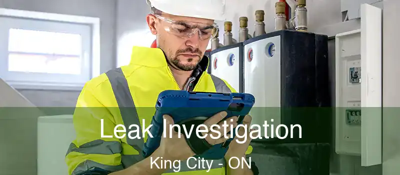  Leak Investigation King City - ON