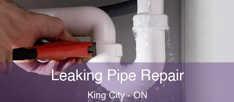  Leaking Pipe Repair King City - ON