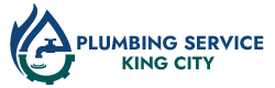Top Rated Plumbing Service in King City
