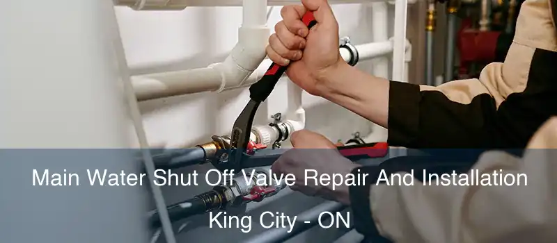  Main Water Shut Off Valve Repair And Installation King City - ON