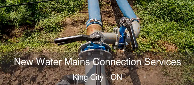  New Water Mains Connection Services King City - ON
