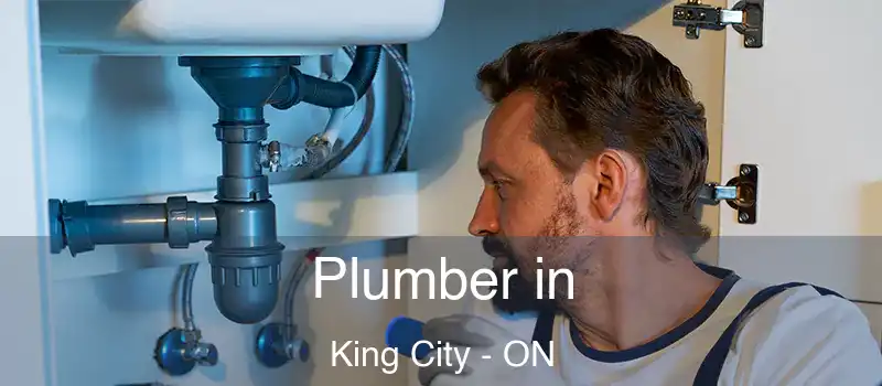  Plumber in King City - ON