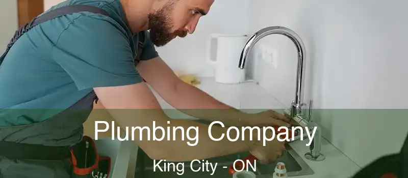  Plumbing Company King City - ON