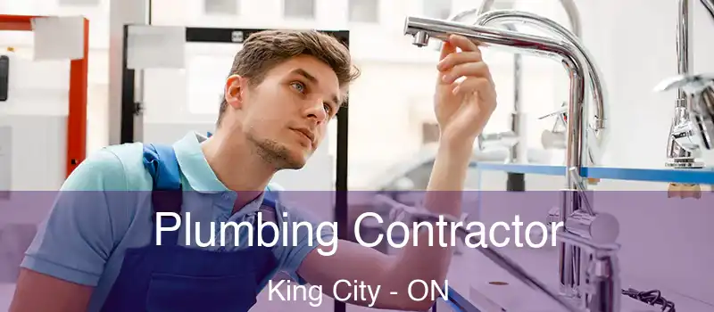  Plumbing Contractor King City - ON