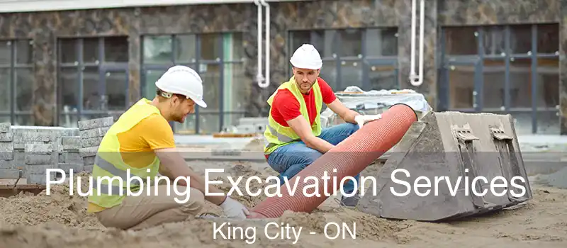  Plumbing Excavation Services King City - ON