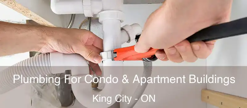  Plumbing For Condo & Apartment Buildings King City - ON