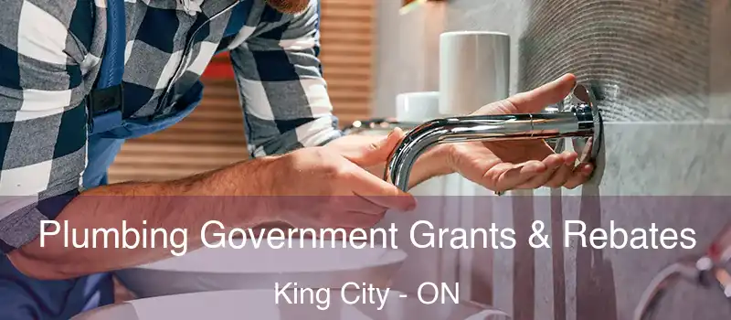  Plumbing Government Grants & Rebates King City - ON