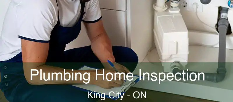  Plumbing Home Inspection King City - ON