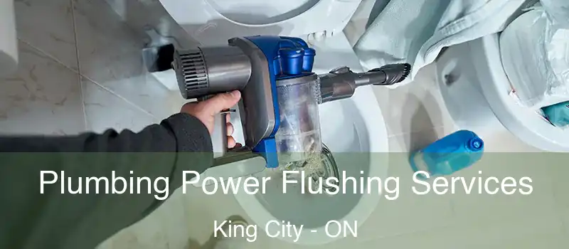  Plumbing Power Flushing Services King City - ON