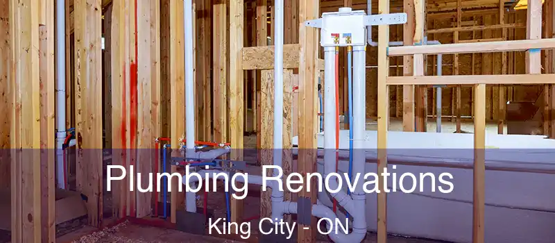  Plumbing Renovations King City - ON