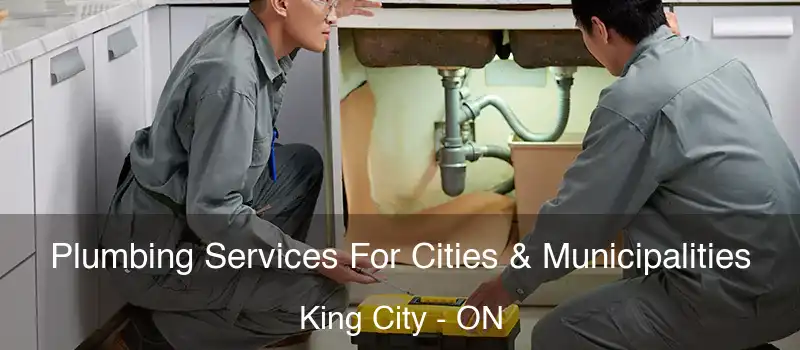  Plumbing Services For Cities & Municipalities King City - ON
