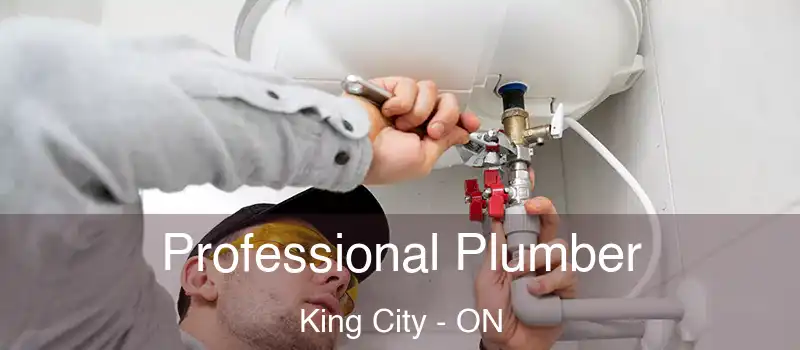  Professional Plumber King City - ON