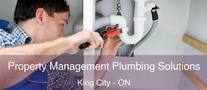  Property Management Plumbing Solutions King City - ON