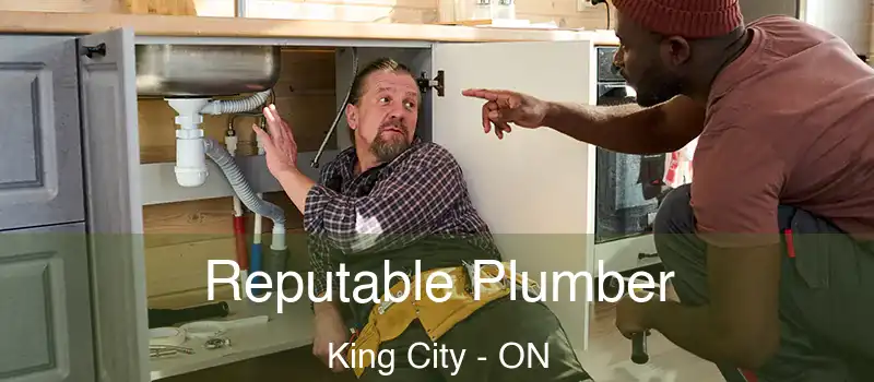  Reputable Plumber King City - ON