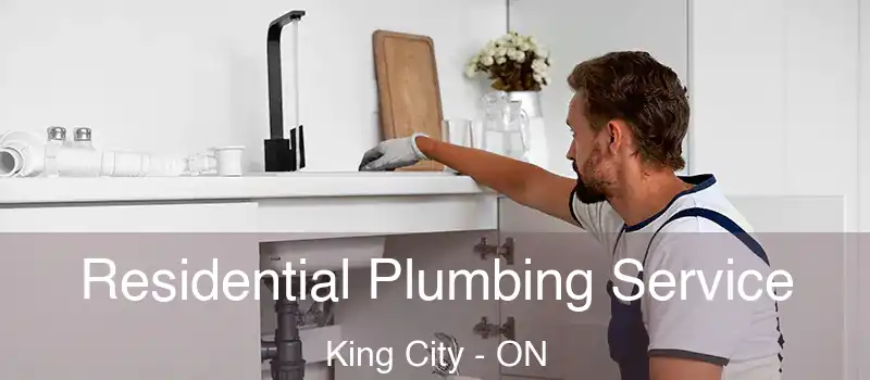  Residential Plumbing Service King City - ON