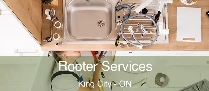  Rooter Services King City - ON