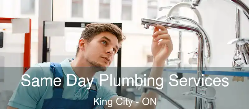  Same Day Plumbing Services King City - ON