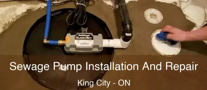  Sewage Pump Installation And Repair King City - ON