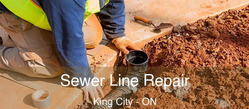  Sewer Line Repair King City - ON