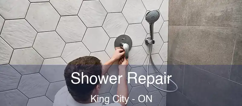  Shower Repair King City - ON