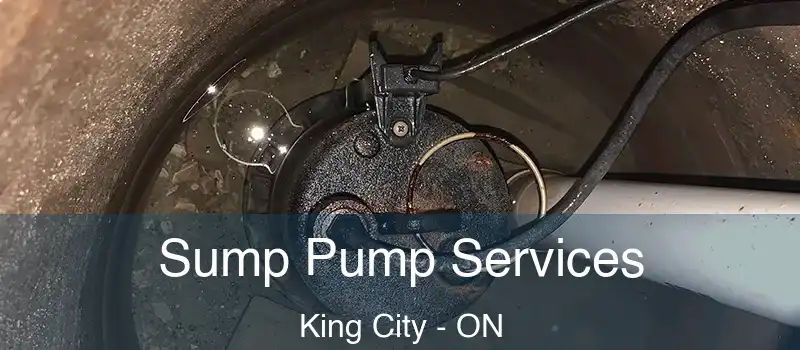  Sump Pump Services King City - ON