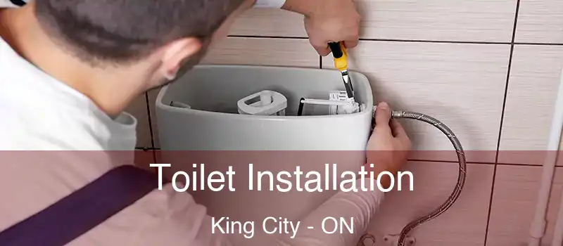  Toilet Installation King City - ON